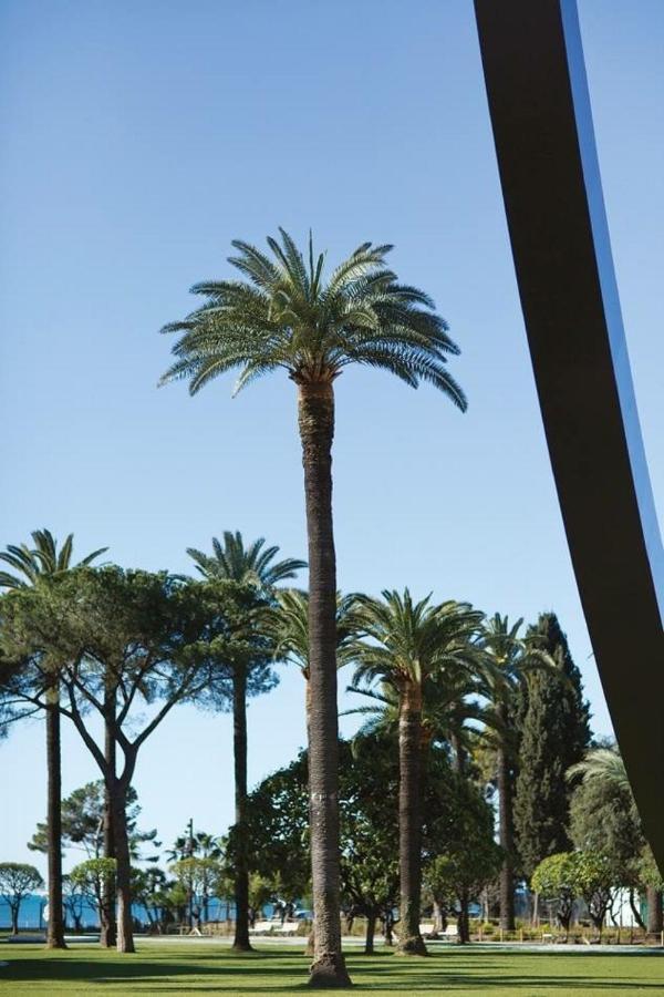 Apartmán Gilly 4 - Exceptional 2Beds, Sea View, Modern,A/C, Old Town Nice Exteriér fotografie
